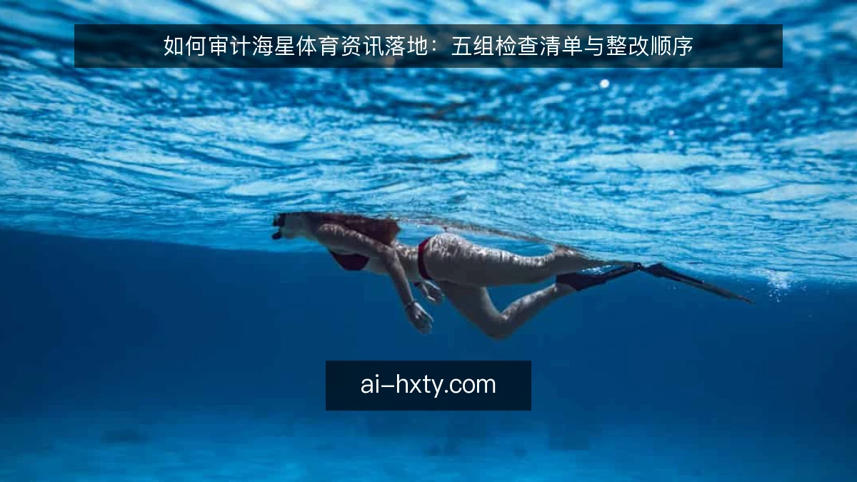如何审计海星体育资讯落地：五组检查清单与整改顺序